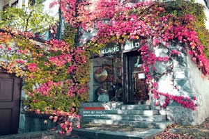 荷兰队神奇逆转，意外捧得冠军奖杯