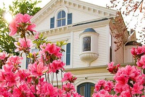 欧洲篮球赛事中球员的技术水平高超