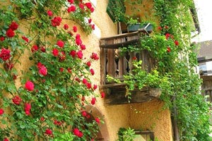 沃尔夫斯堡客场逼平莱比锡红牛，少见平局