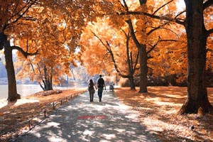 太阳大胜掘金，晋级西部半决赛实力不可忽视